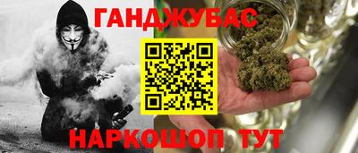 ECSTASY Гай