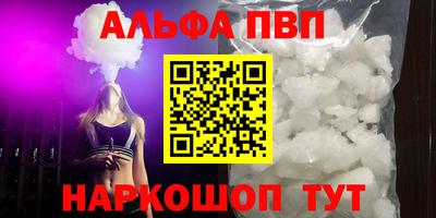 ECSTASY Гай