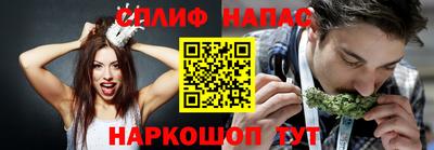 ECSTASY Гай