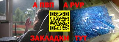 ECSTASY Гай