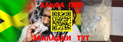 ECSTASY Гай